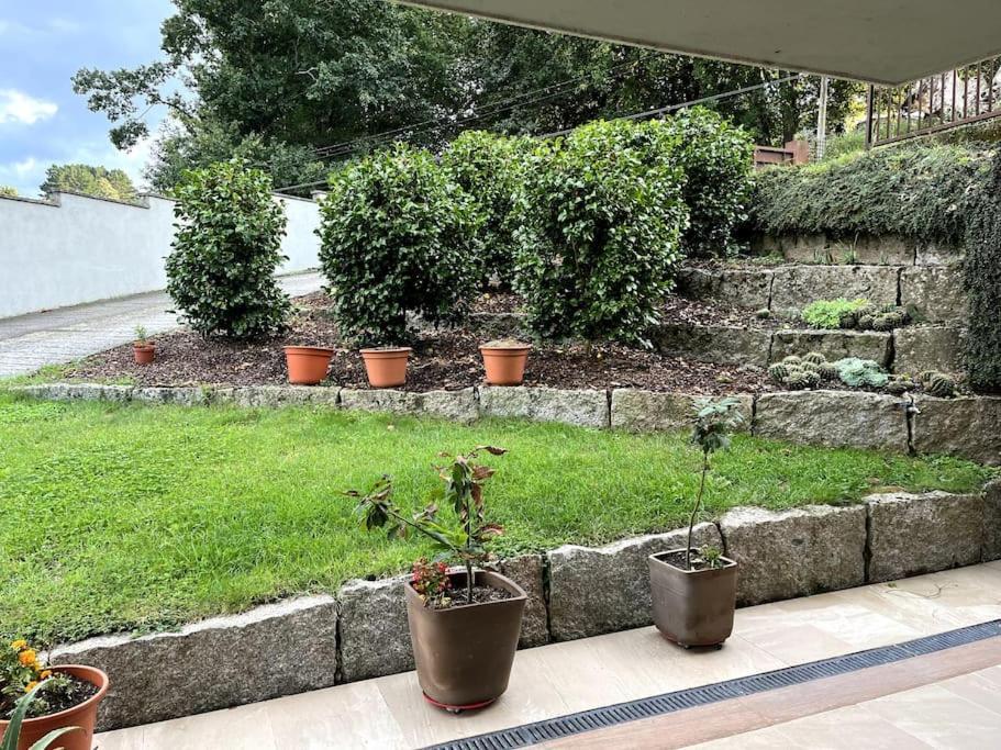 La Casita Del Bosque Lejlighed Lugo Eksteriør billede